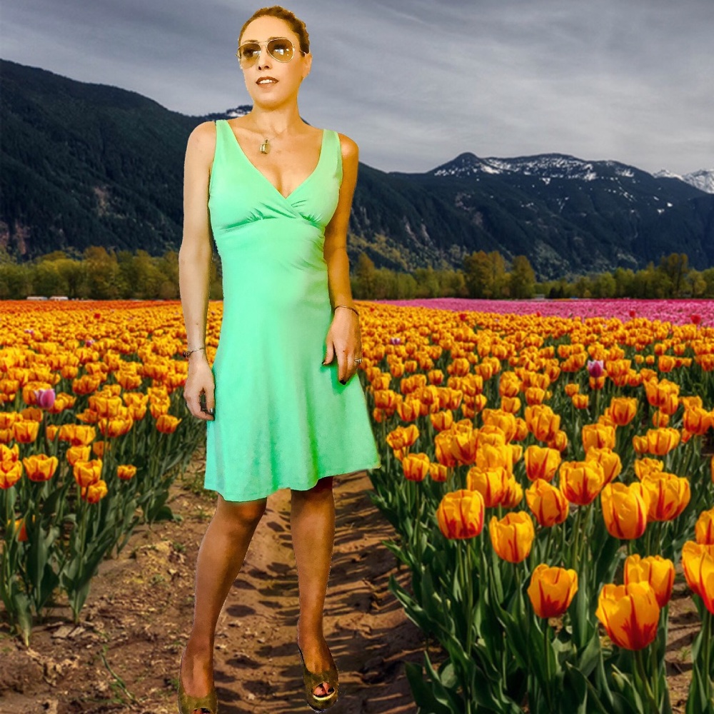 Patagonia V-Neck Outdoor Active Dress - Picture 4 of 8